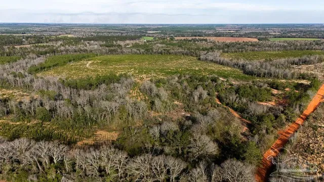a view of city with ocean