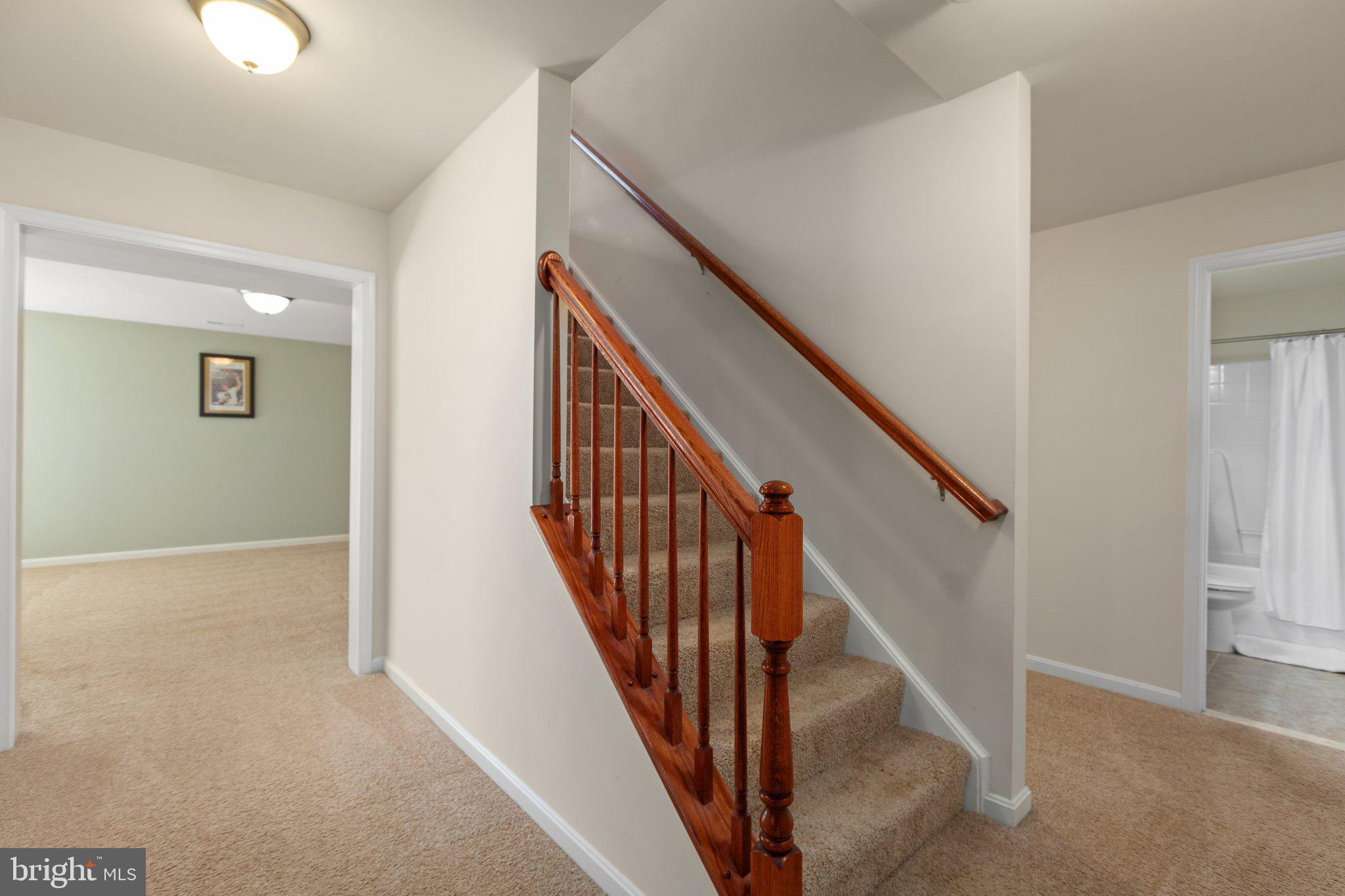 6160 Hickory Ridge Road Spotsylvania, VA 22551 - Photo 40 of 70 Basement Stairs