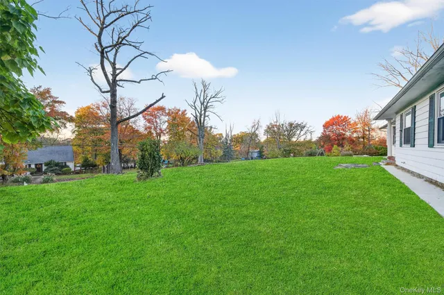 a view of green field