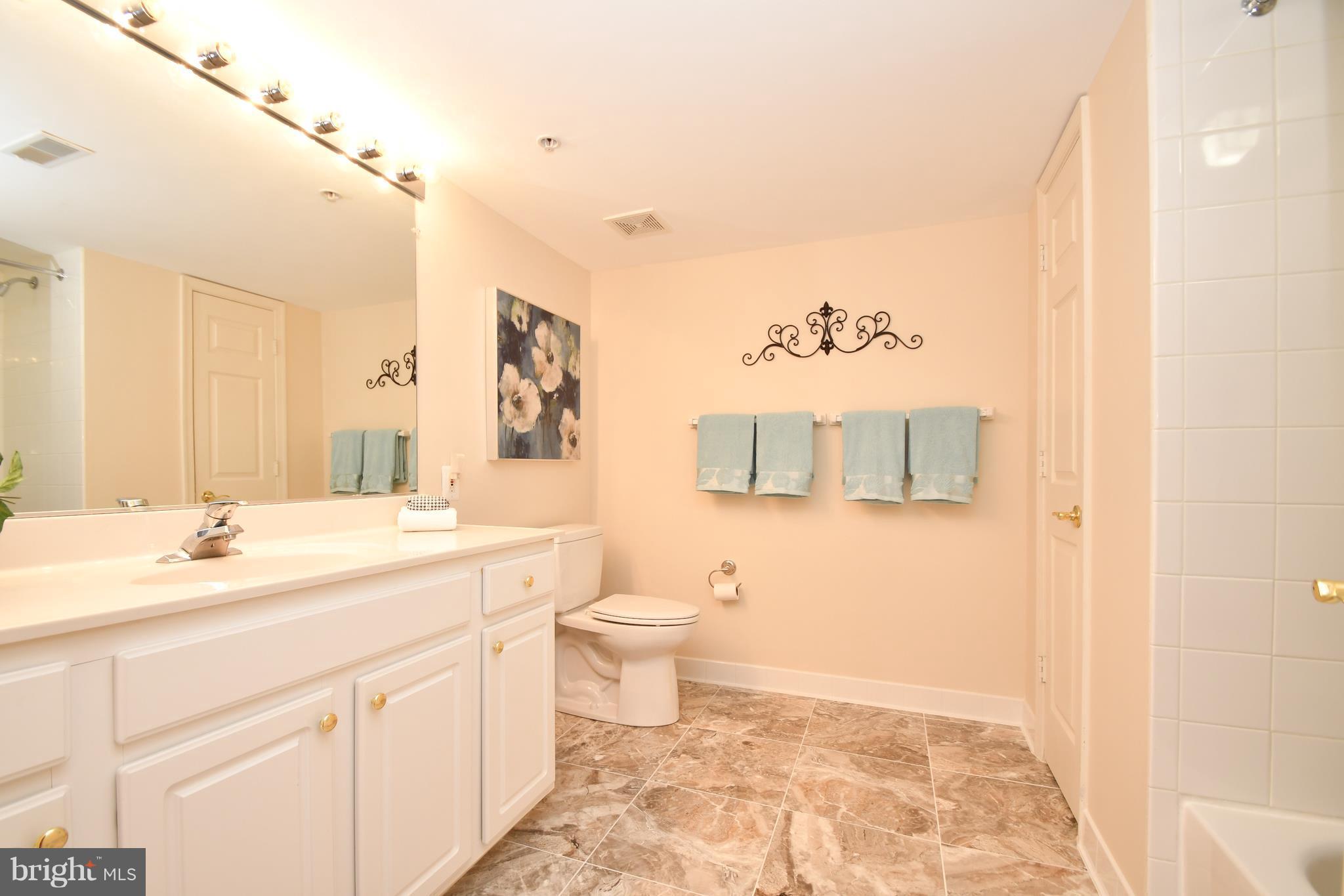 12330 Rosslare Ridge Road, Unit 304 Lutherville-Timonium, MD 21093 - Photo 22 of 29 Bath (Master)