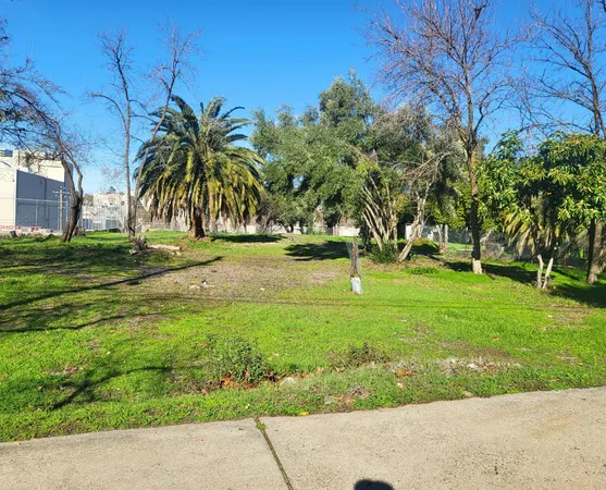 a view of a park with large trees