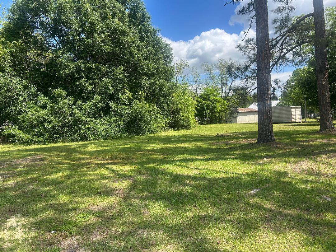 200 North Pleasant Street Geneva, AL 36340 - Photo 16 of 19 back yard