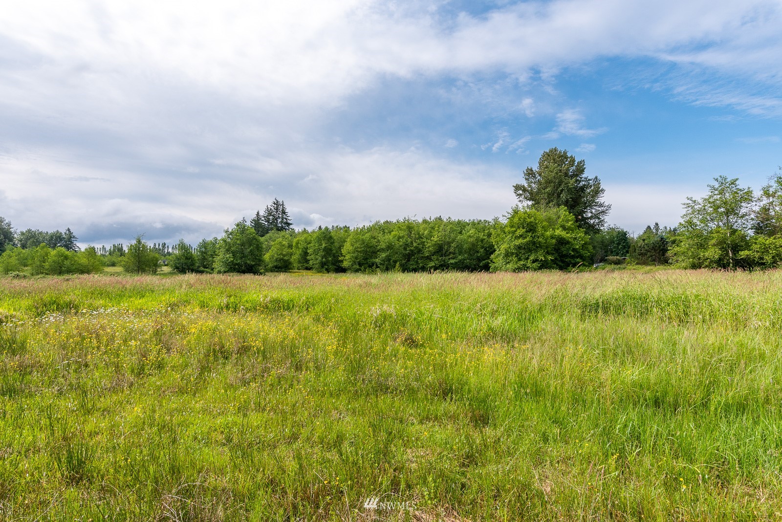 0 East Axton Road Bellingham, WA 98226 - Photo 17 of 19 a view of a lake view with a big yard and large trees