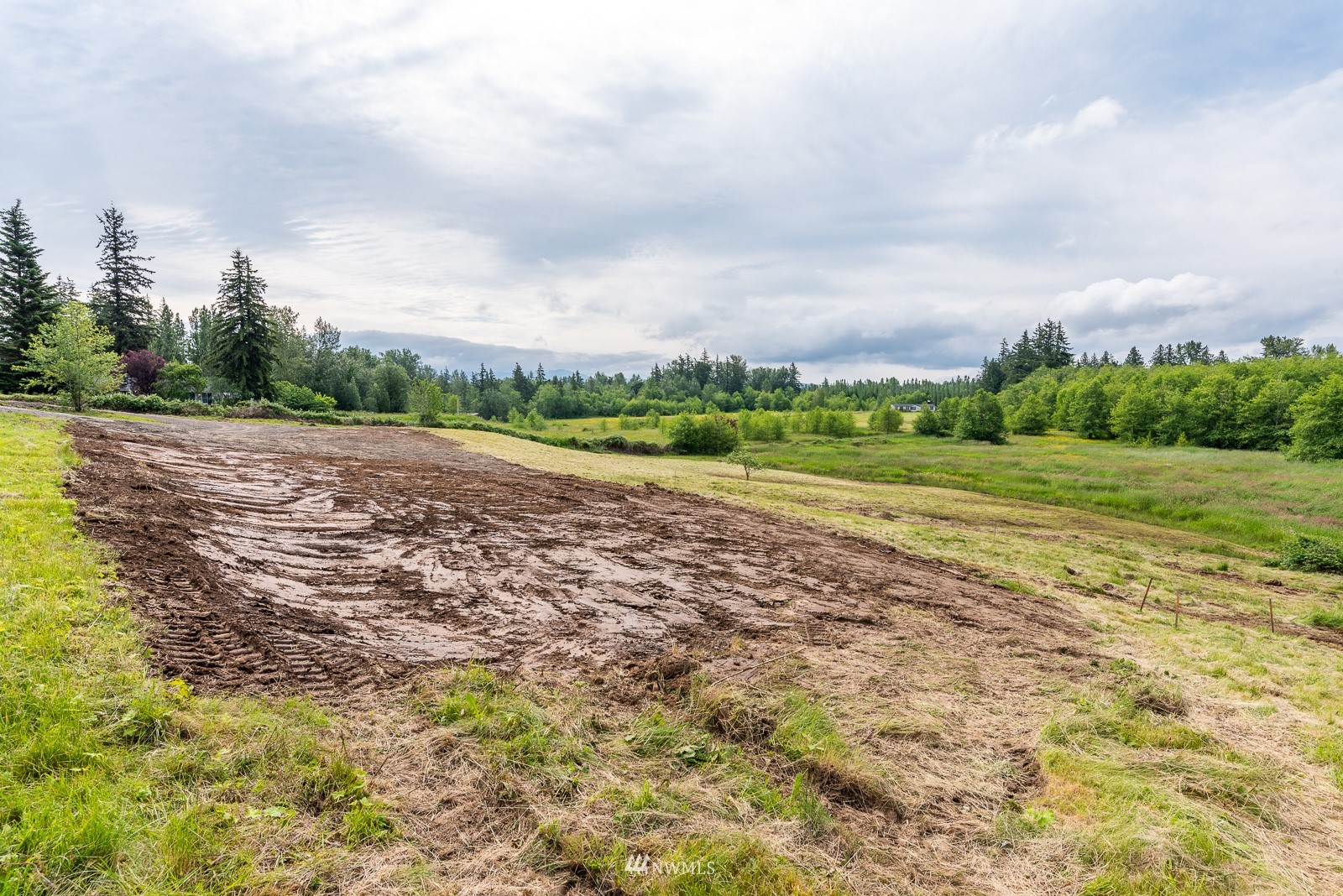 0 East Axton Road Bellingham, WA 98226 - Photo 9 of 19 a view of a big yard with large trees