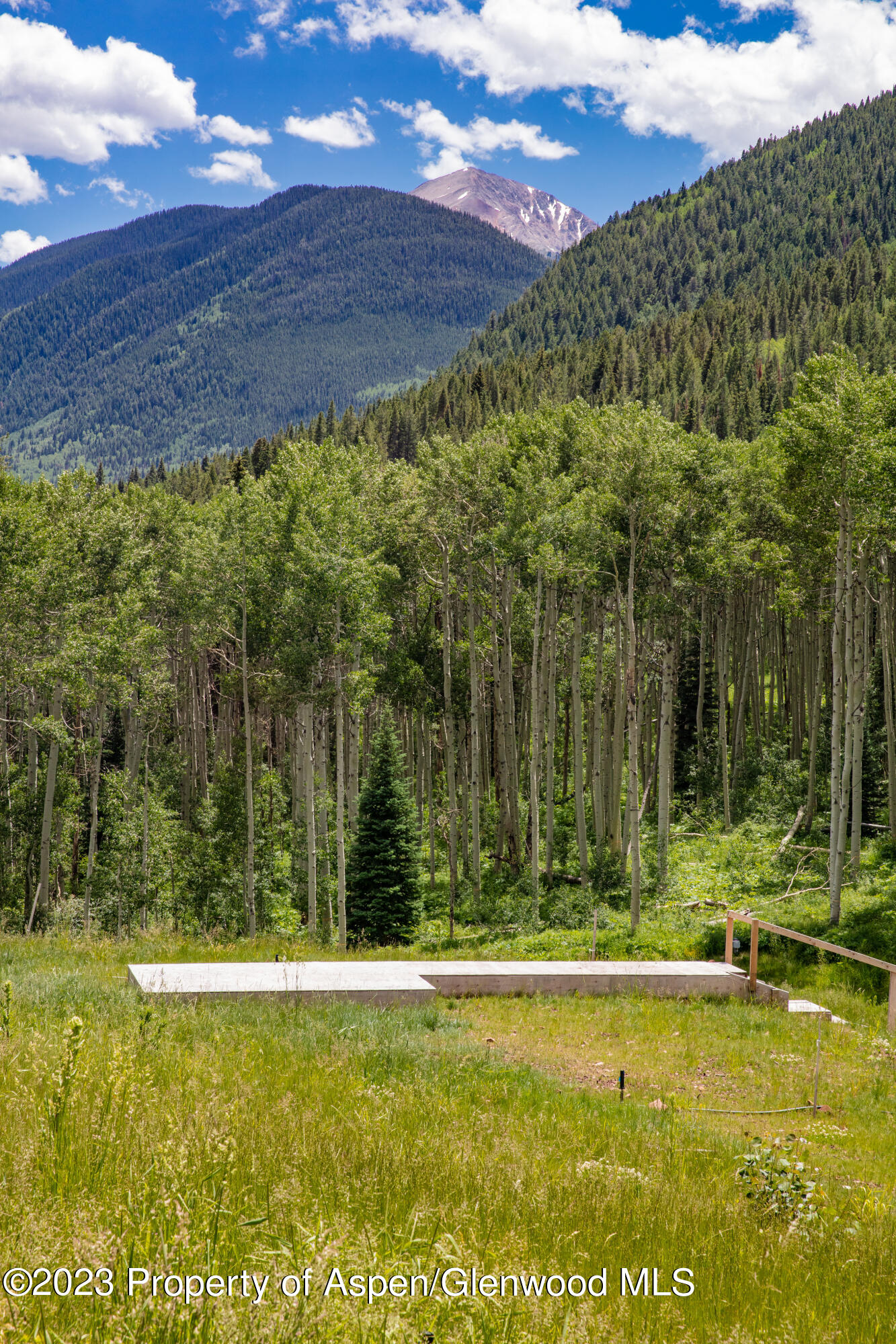 640 South Hayden Road Aspen, CO 81611 - Photo 13 of 42 6