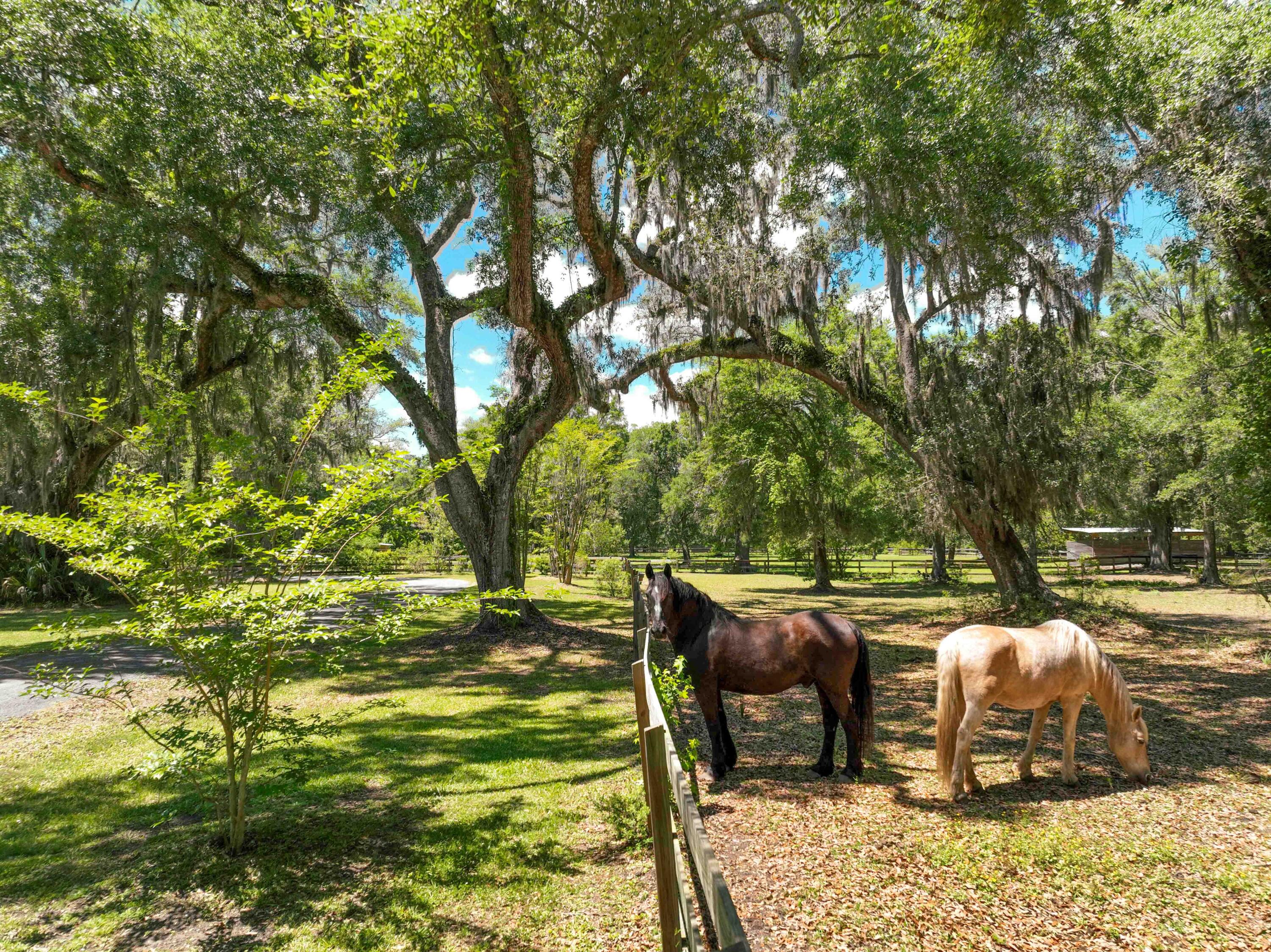 5068 Sweetgrass Farm Road Johns Island, SC 29455 - Photo 10 of 85 Sweetgrass Farm Road-10