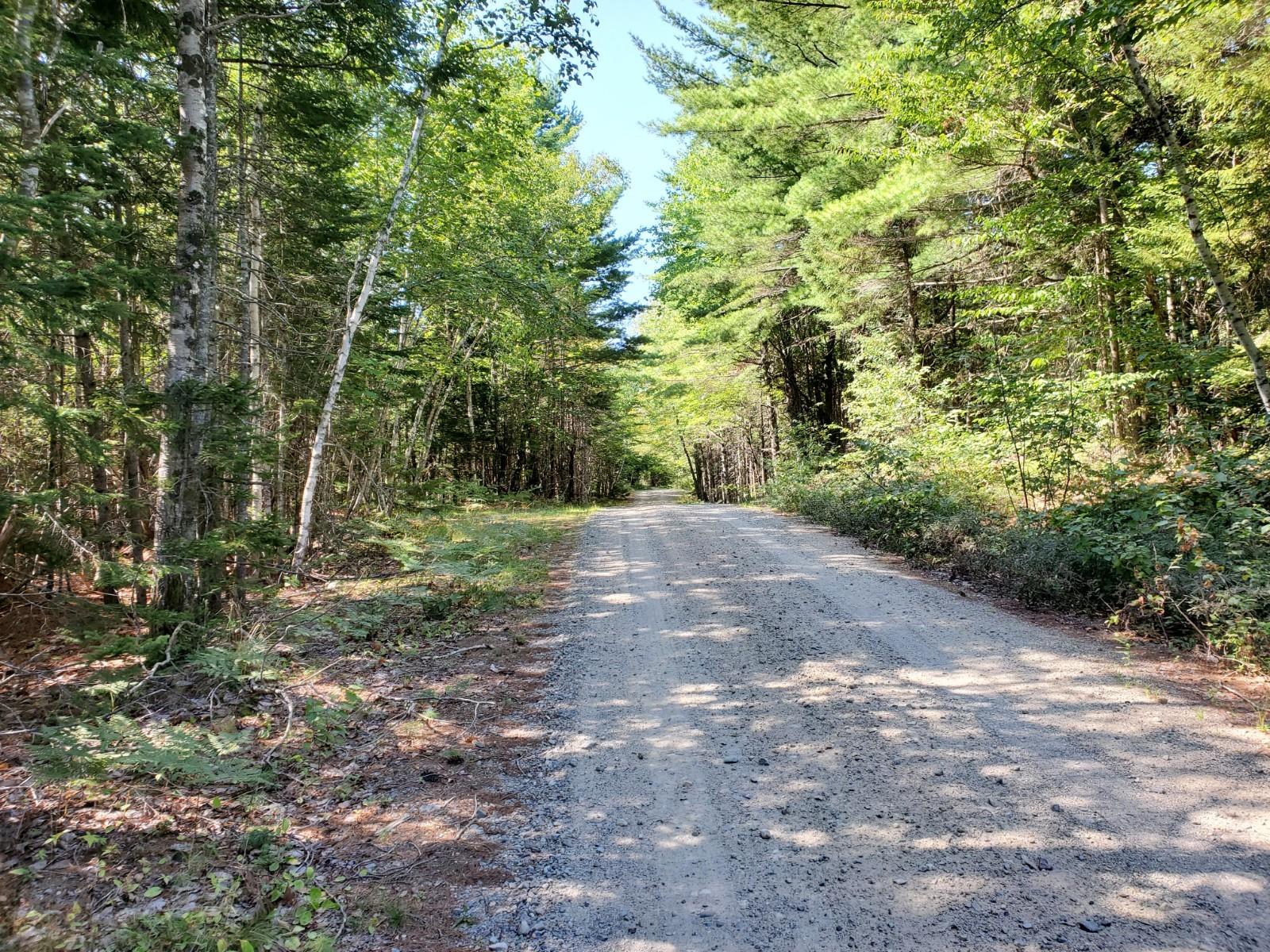 Lot 8 East Ridge Road Cooper, ME 04657 - Photo 13 of 14 20210816_151039