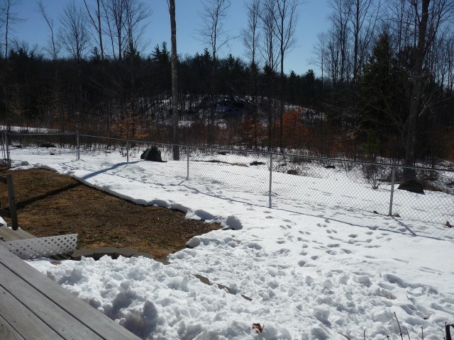 45 Shaw Road Franklin, NH 03235 - Photo 31 of 40