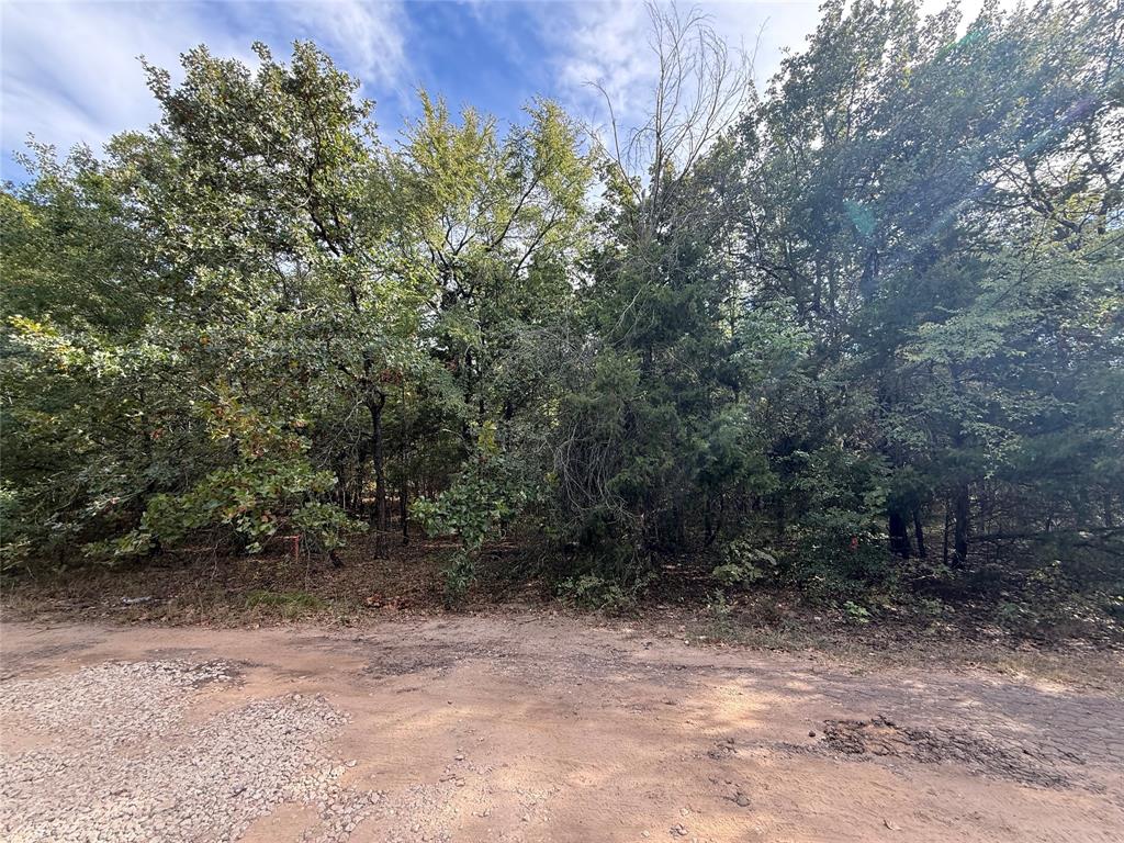 0 Tahoka Road Mabank, TX 75156 - Photo 7 of 8 Gallery Image 7