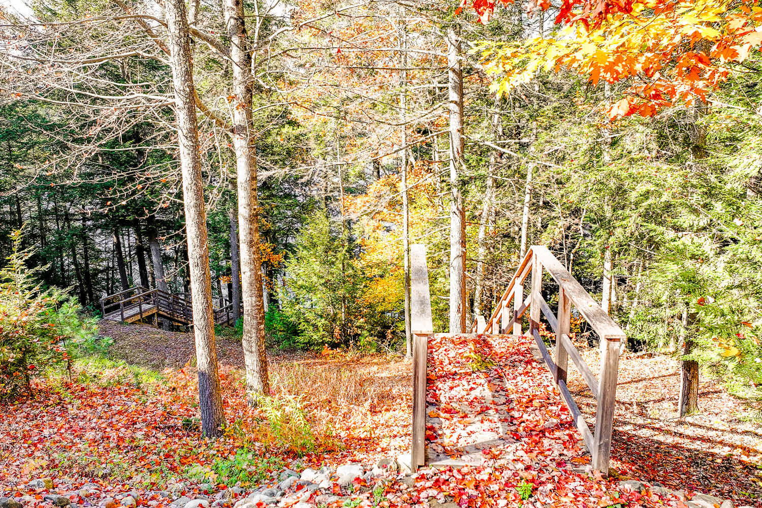 5 Loon Cove Road Vienna, ME 04360 - Photo 29 of 42 5 Loon Cove Rd 06-(ZF-4069-89471-1-006)