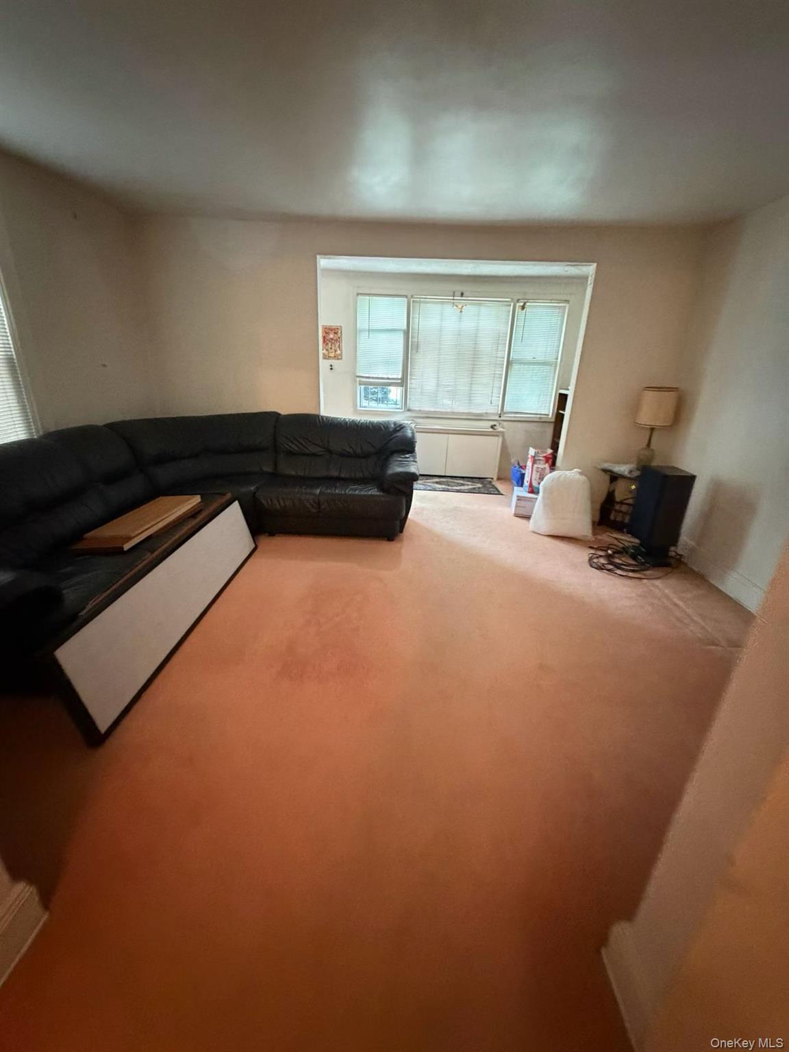 46-41 161 Street Queens, NY 11358 - Photo 5 of 9