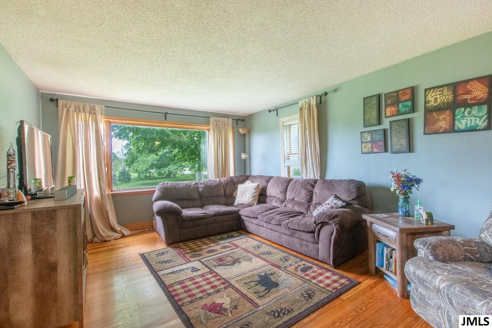 17156 Rome Road Addison, MI 49220 - Photo 4 of 32 Photo 4