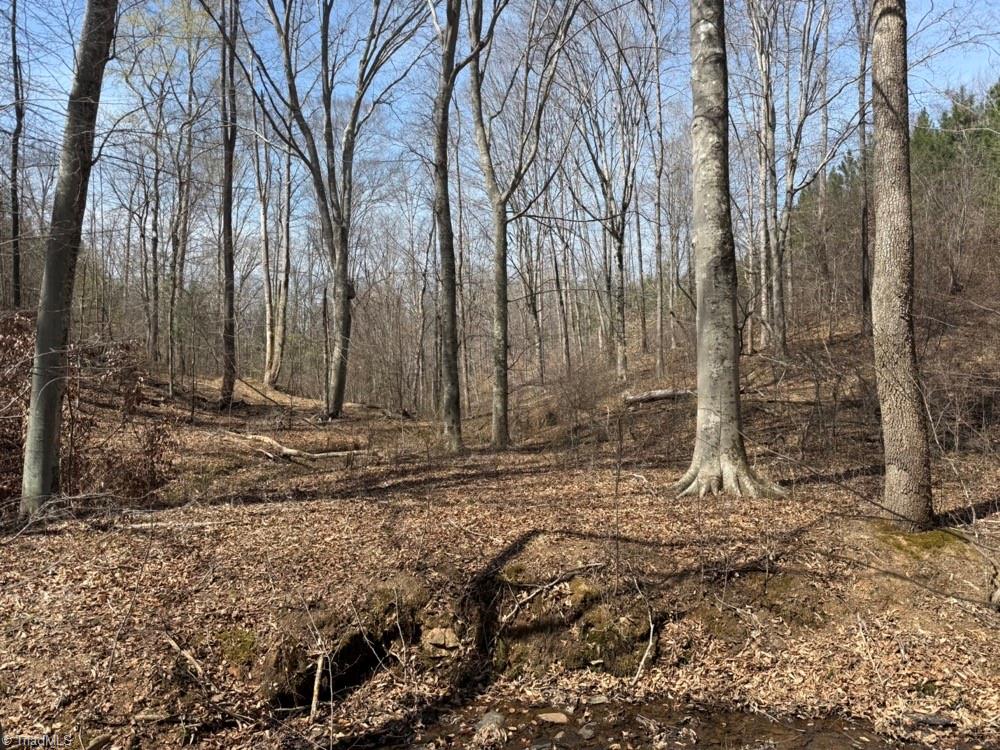 508 New Lebanon Church Road Reidsville, NC 27320 - Photo 29 of 35