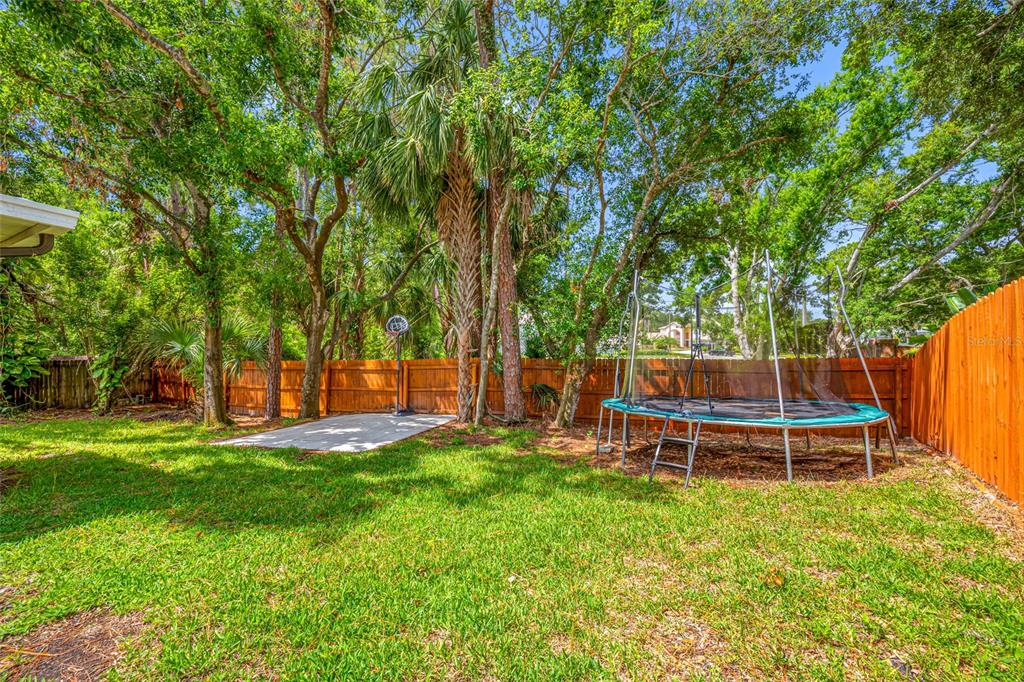 8514 Manassas Road Tampa, FL 33635 - Photo 44 of 47 Gallery Image 44