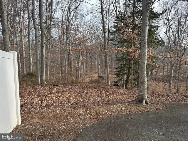 a view of a backyard with trees