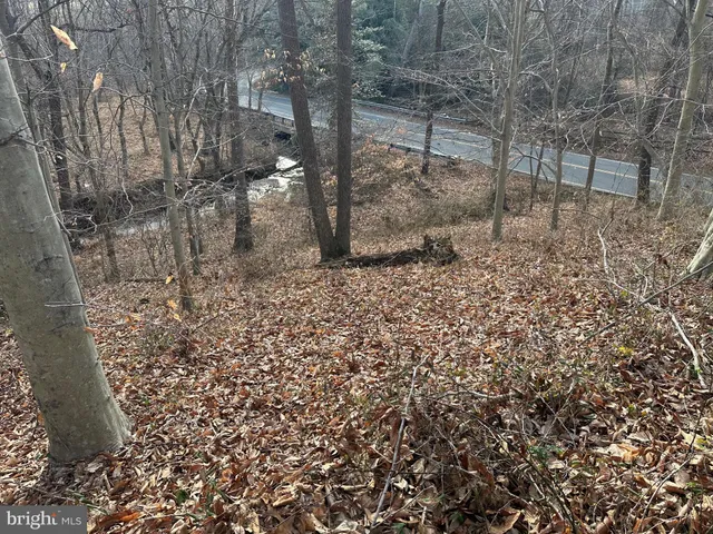 a close view of a shower in a yard