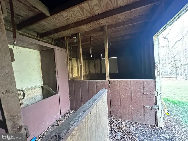 a view of a large trees with a big yard and large trees