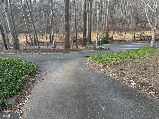 a view of road with trees