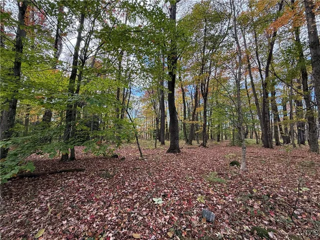 $149,900 | 3147 Potter Road, Osceola, NY 13437