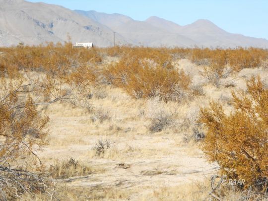 Neal Ranch Road Inyokern, CA 93527 - Photo 1 of 9 Gallery Image 1