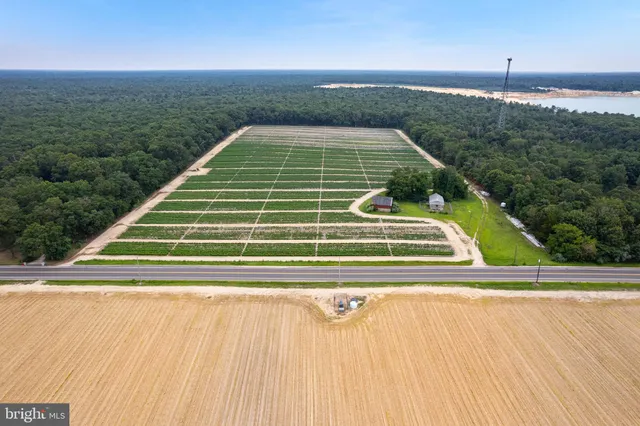 a view of swimming pool