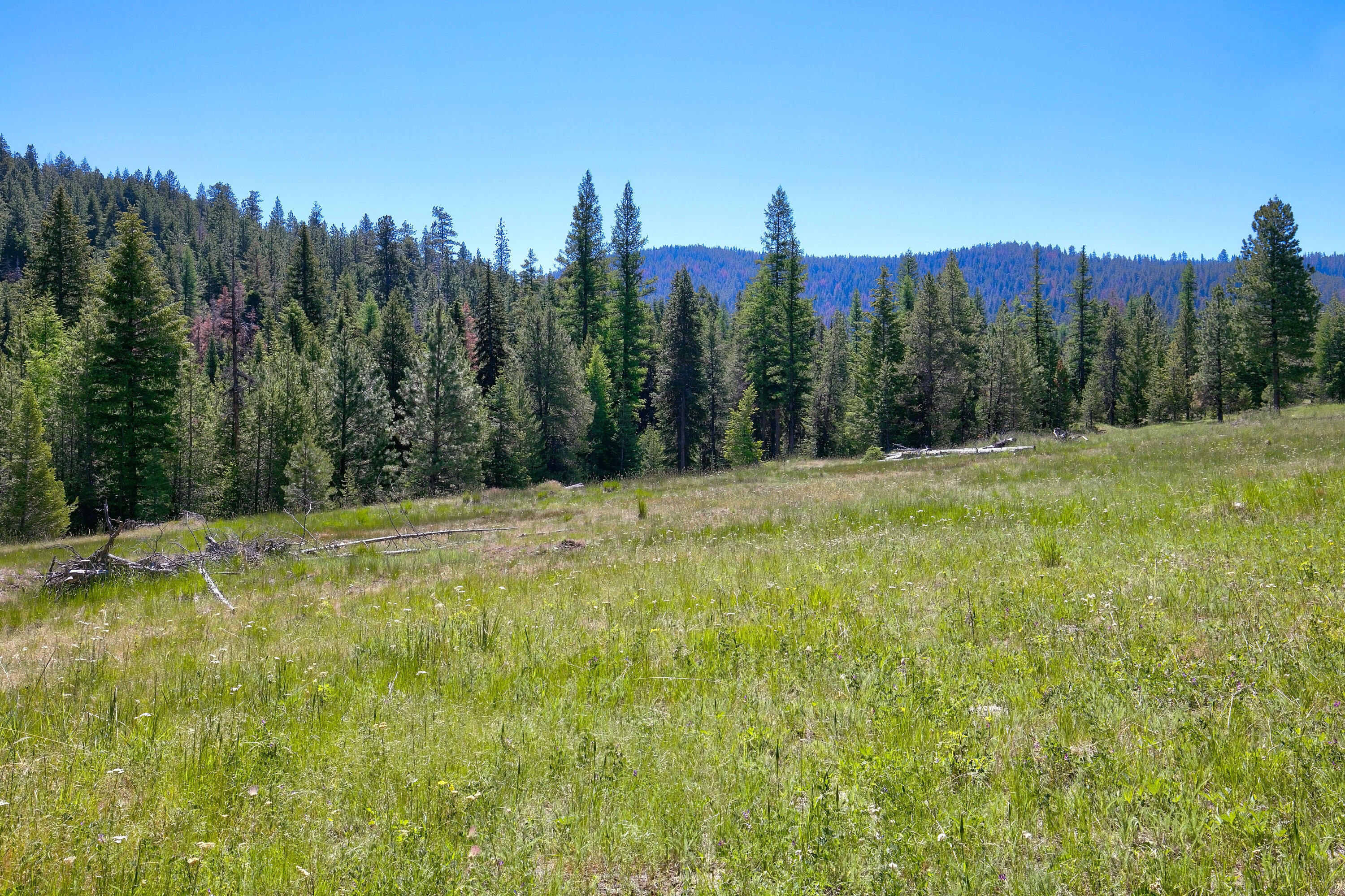 21762 Badger Creek Road Mitchell, OR 97750 - Photo 35 of 54 35 Badger Creek Ranch_015