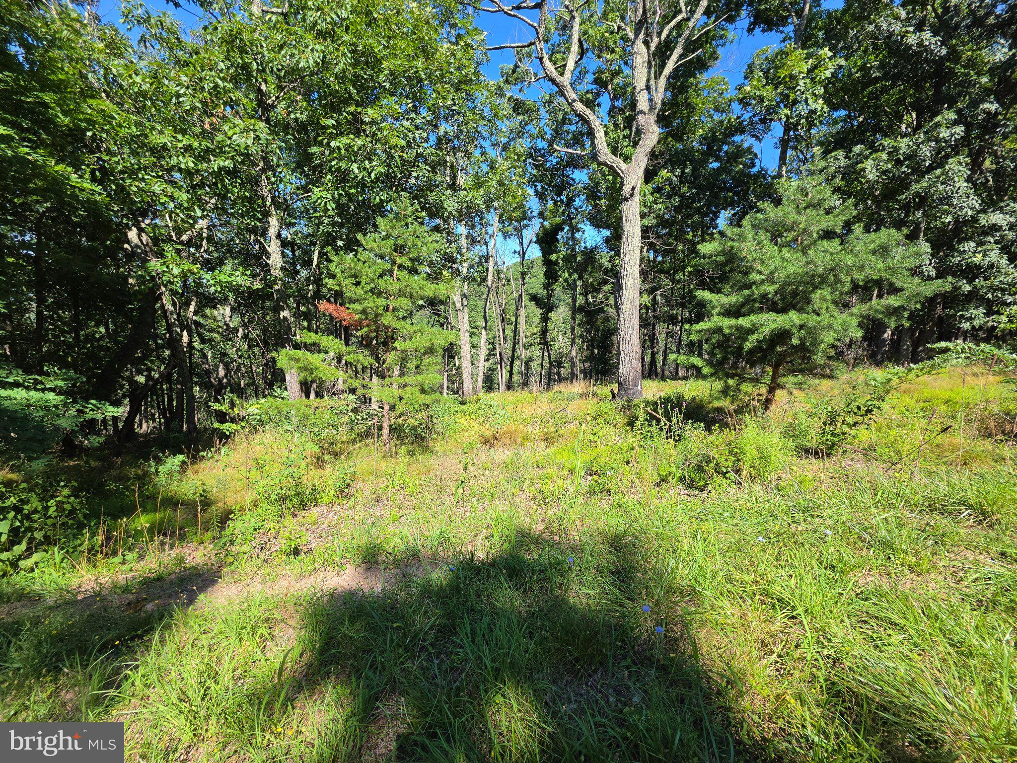Lot 75 Hunters Rdg Trail Milam, WV 26838 - Photo 21 of 49 Gallery Image 21
