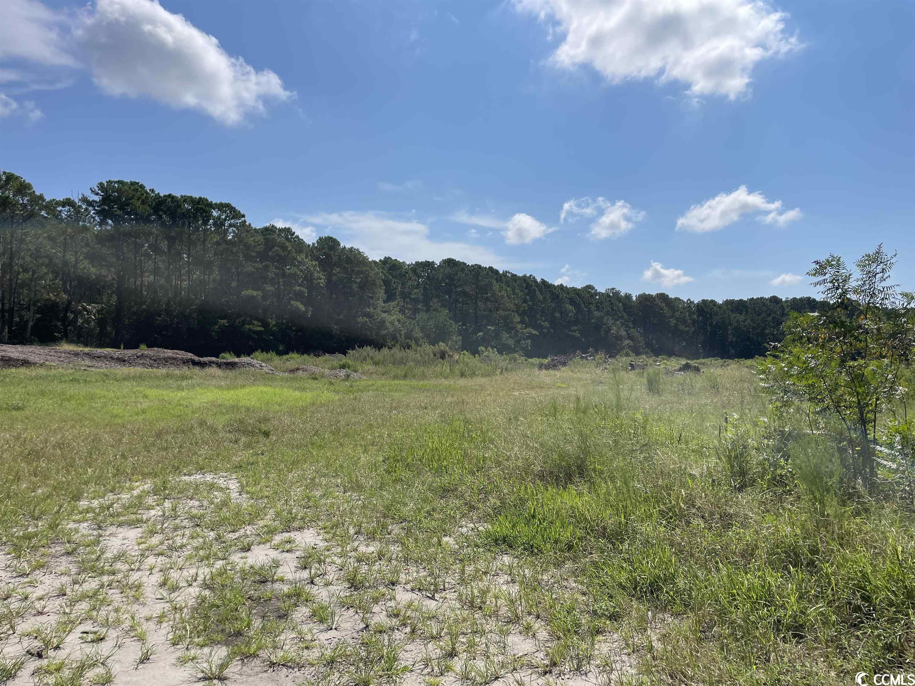 2801 Little River Neck Road North Myrtle Beach, SC 29582 - Photo 13 of 37