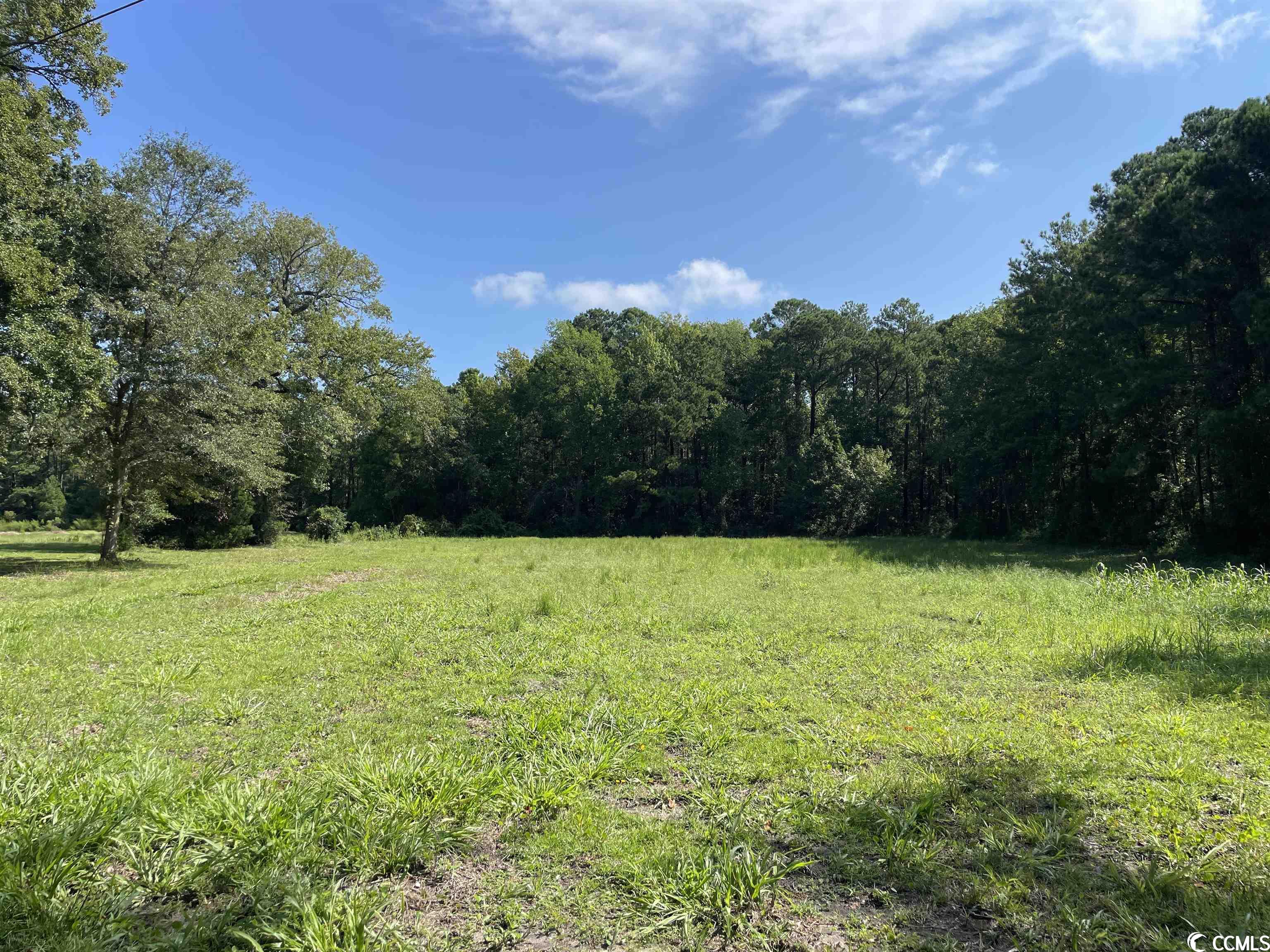 2801 Little River Neck Road North Myrtle Beach, SC 29582 - Photo 25 of 37