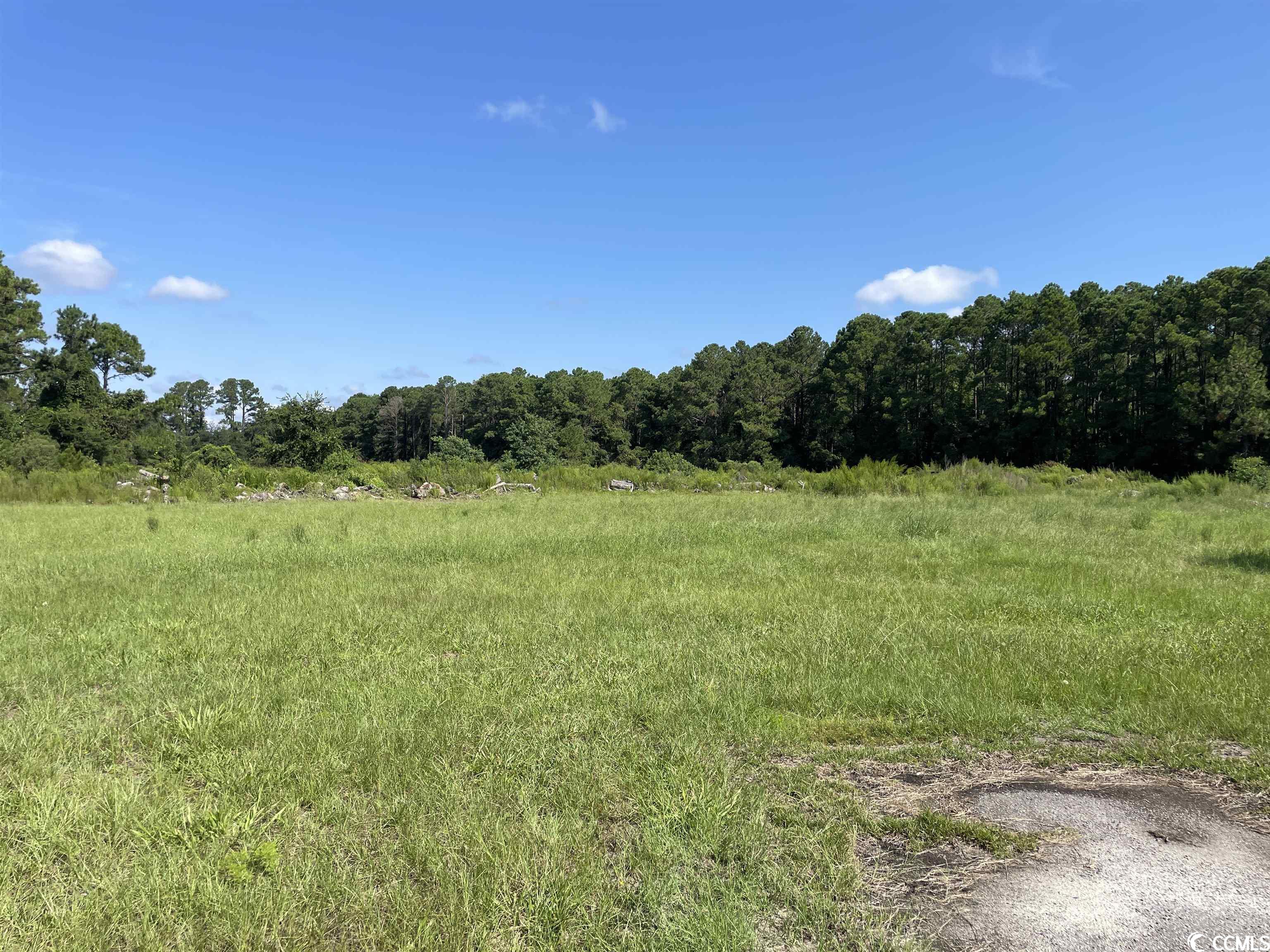 2801 Little River Neck Road North Myrtle Beach, SC 29582 - Photo 28 of 37