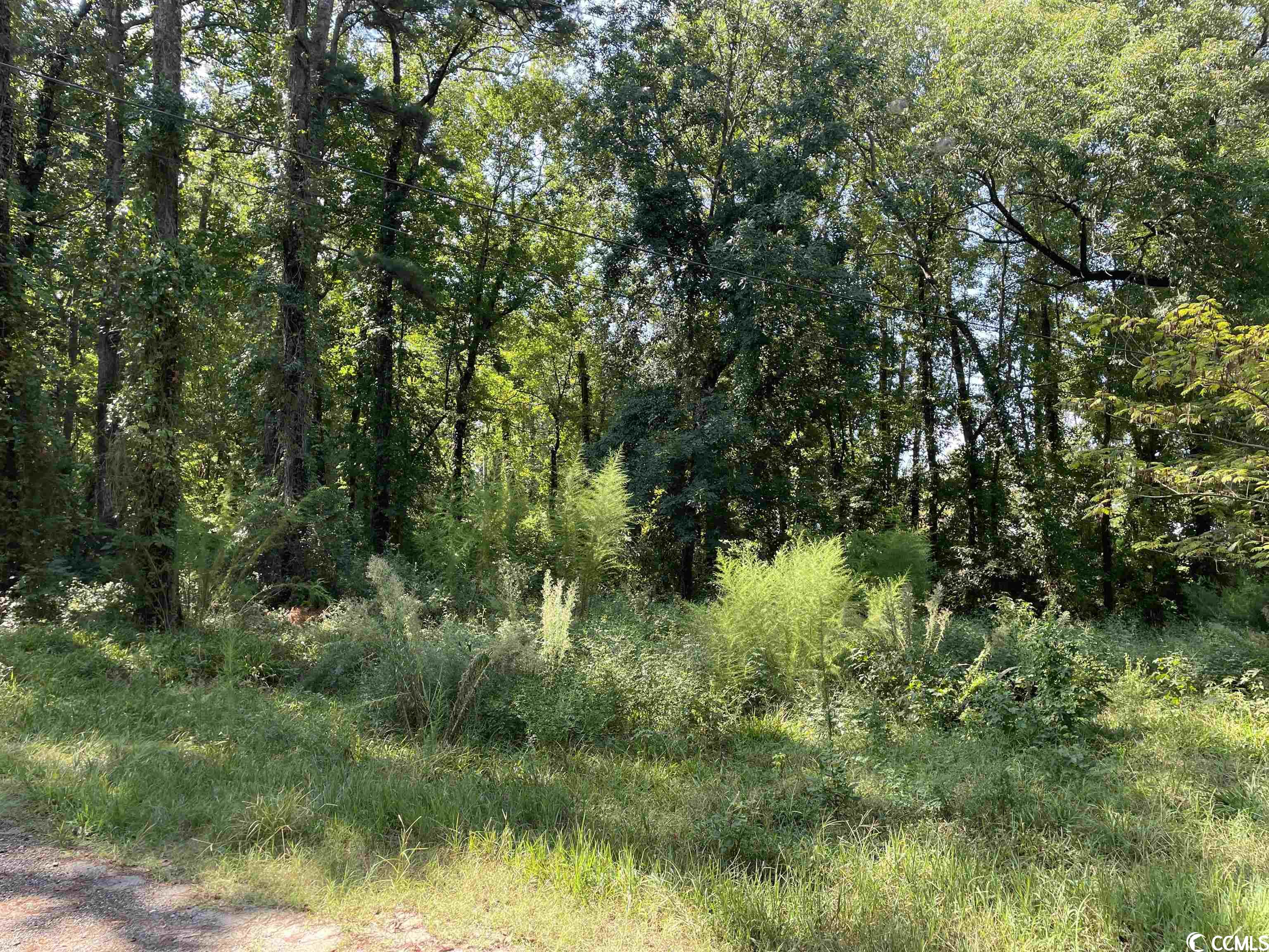 2801 Little River Neck Road North Myrtle Beach, SC 29582 - Photo 29 of 37