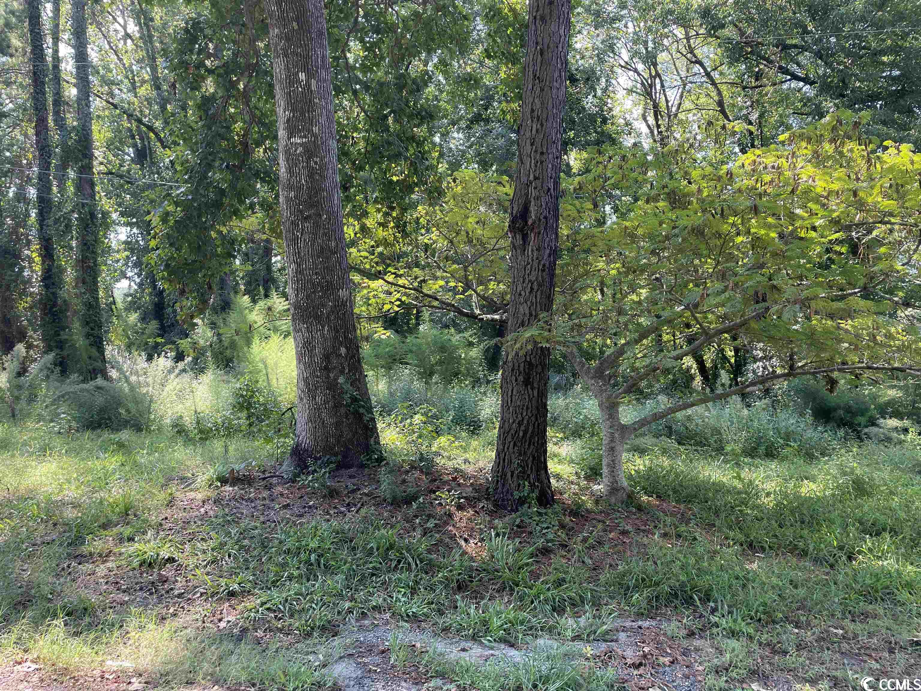 2801 Little River Neck Road North Myrtle Beach, SC 29582 - Photo 31 of 37