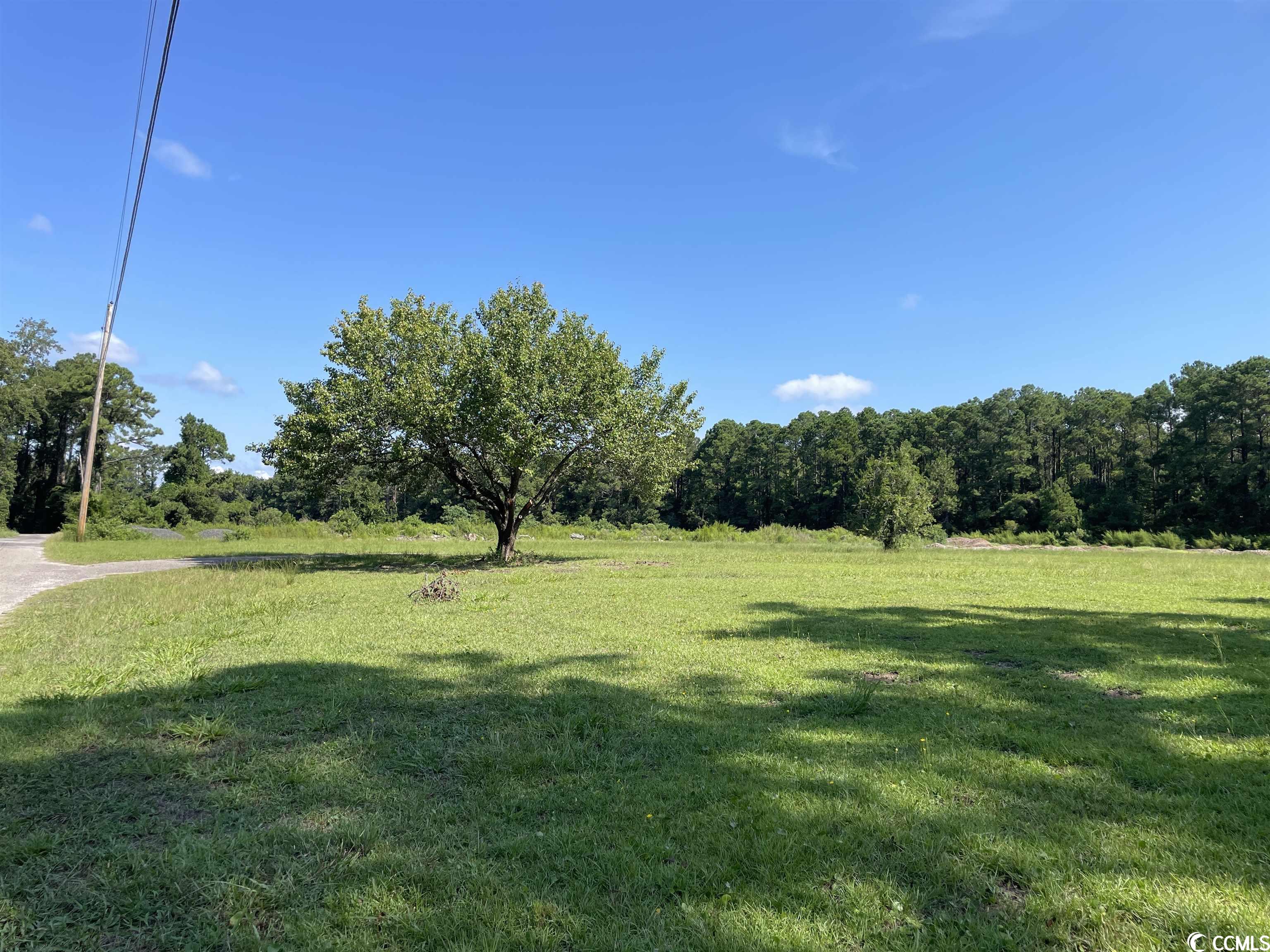 2801 Little River Neck Road North Myrtle Beach, SC 29582 - Photo 6 of 37