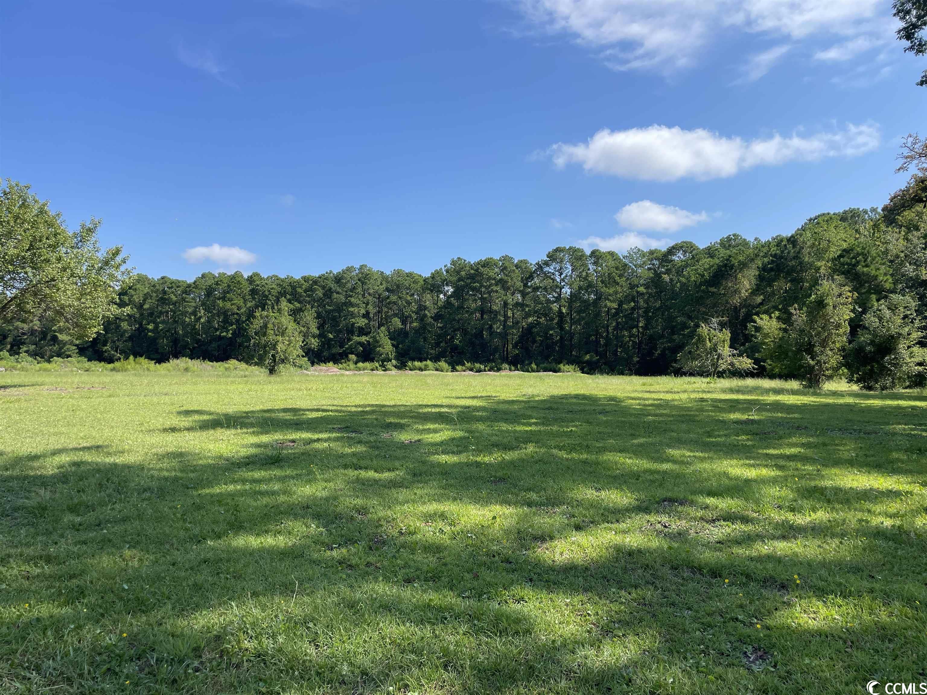 2801 Little River Neck Road North Myrtle Beach, SC 29582 - Photo 7 of 37