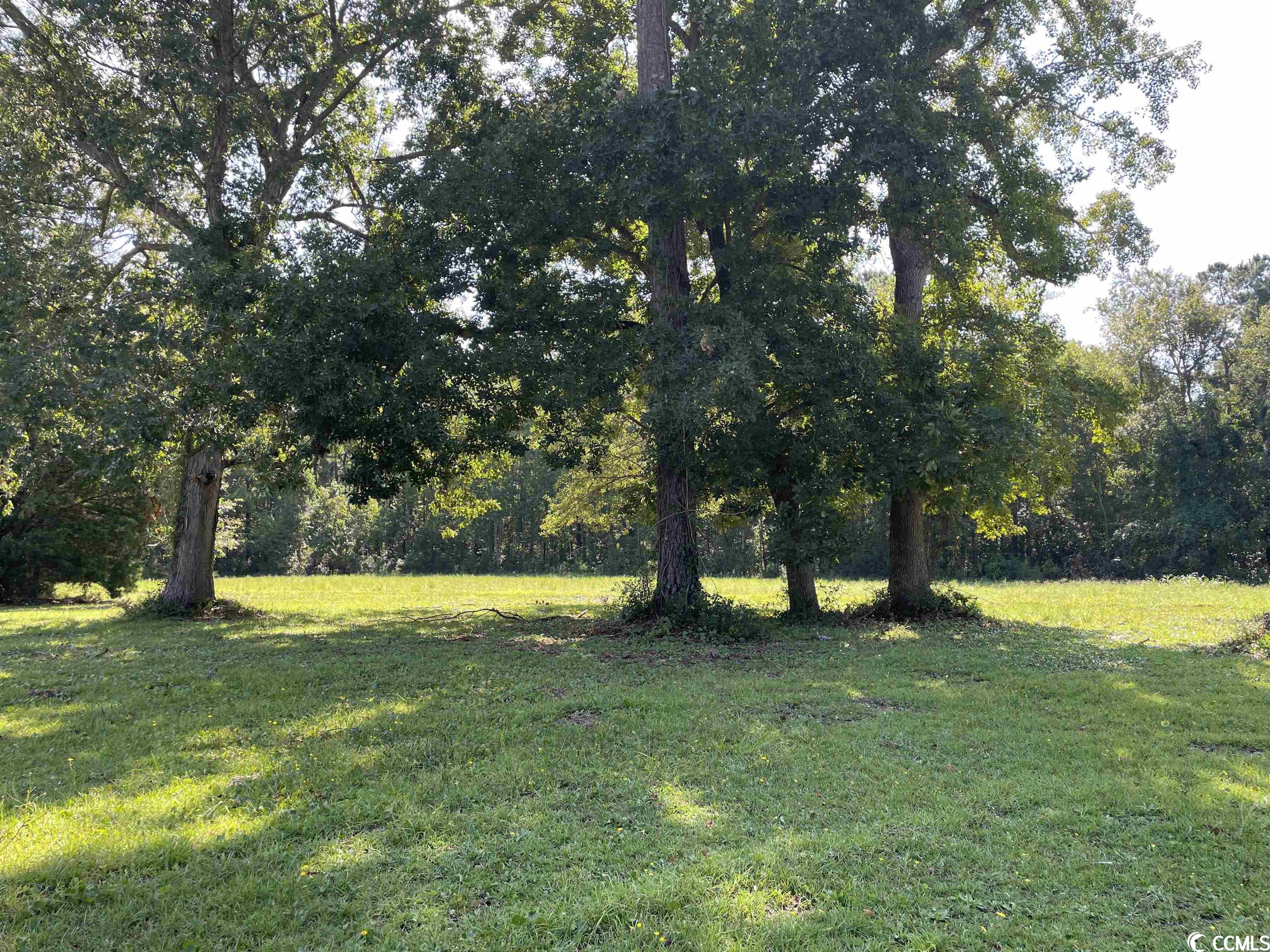 2801 Little River Neck Road North Myrtle Beach, SC 29582 - Photo 8 of 37