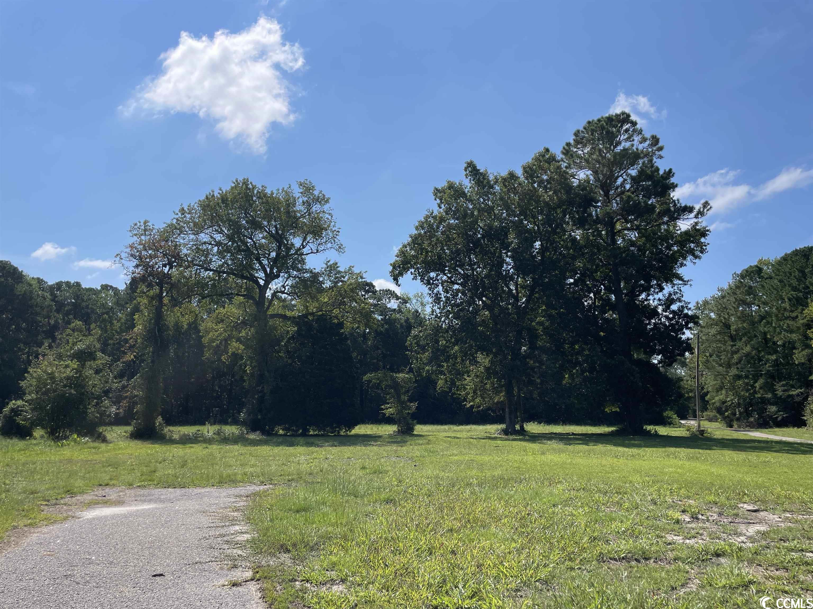 2801 Little River Neck Road North Myrtle Beach, SC 29582 - Photo 9 of 37