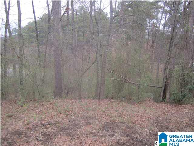 1415 Head Road Fultondale, AL 35068 - Photo 18 of 24