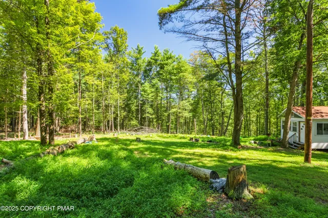 a backyard of a house with lots of green space