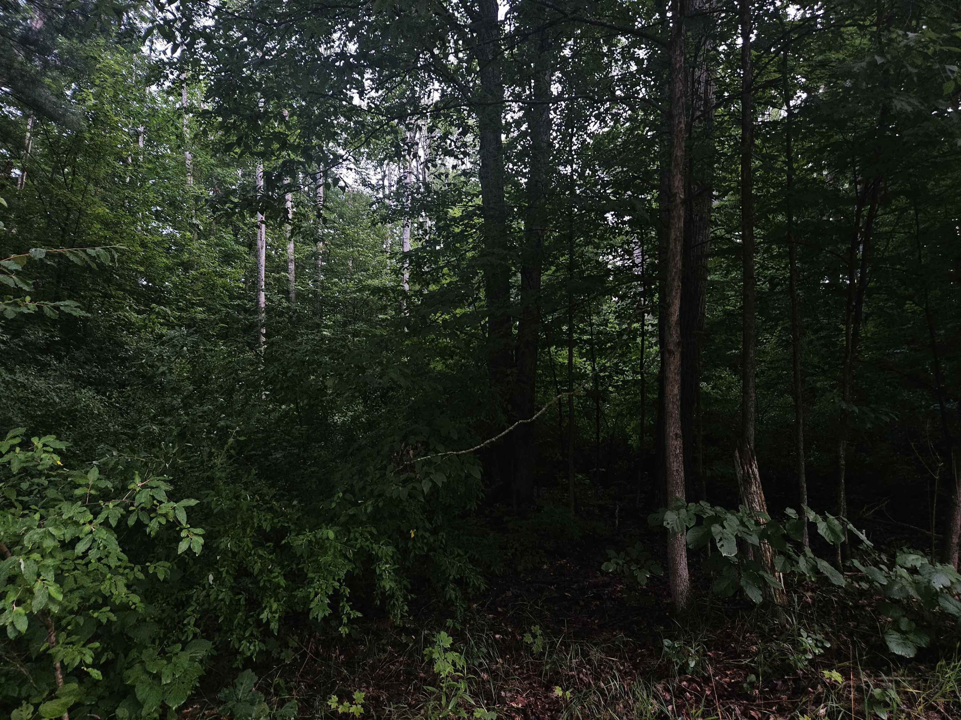 10-ac East Stockwell Road, Unit ATHEY Harrison, MI 48625 - Photo 8 of 8
