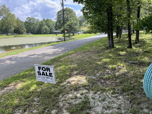 a view of a park that has large trees