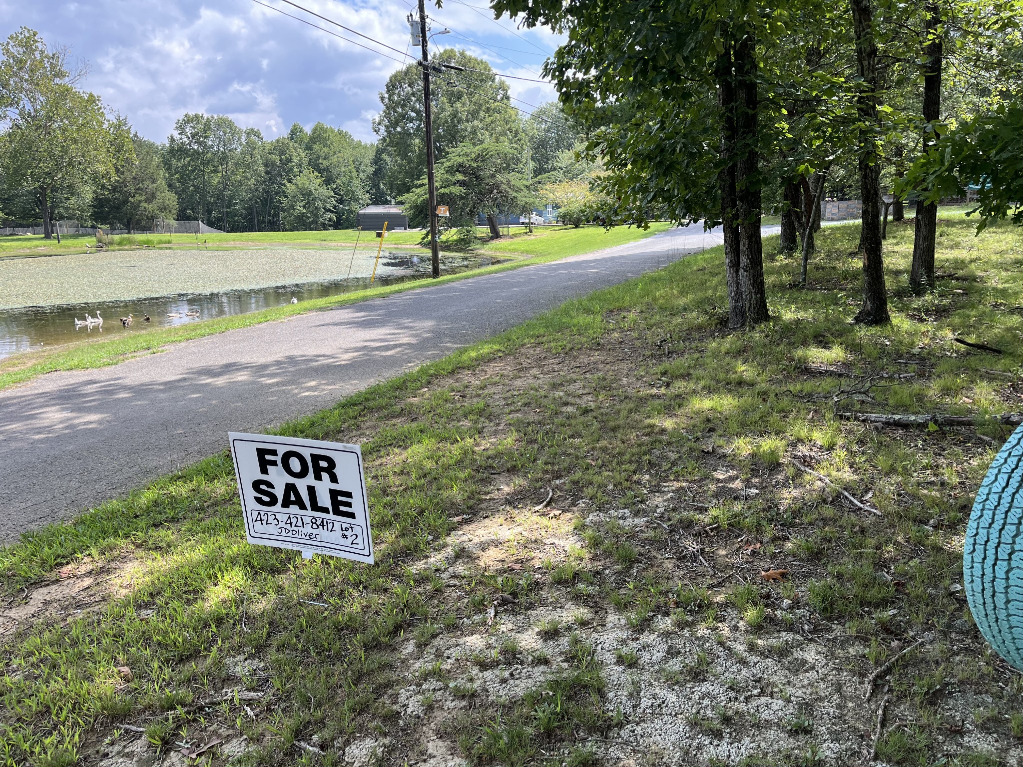a view of a park that has large trees