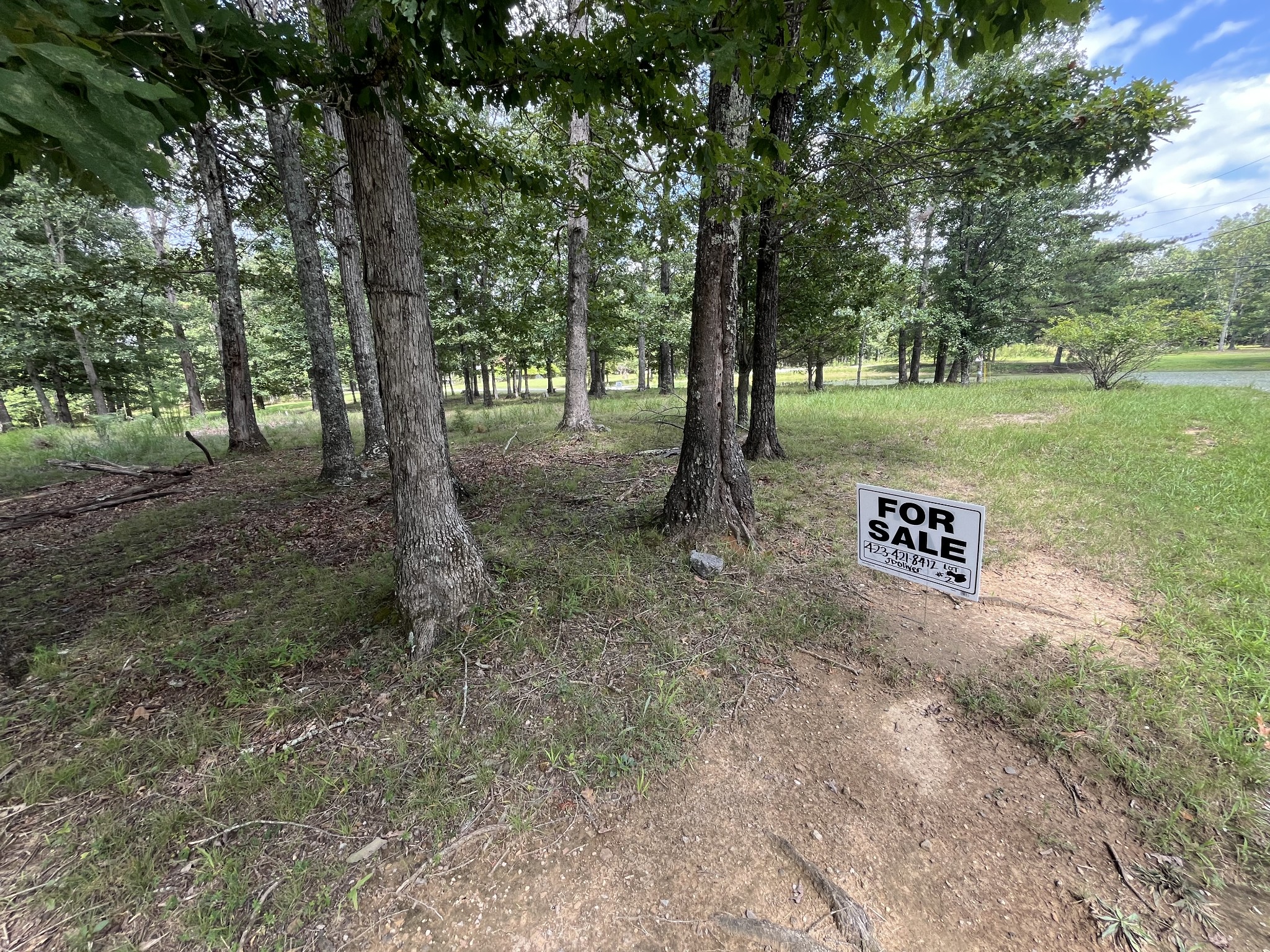 227 Blackberry Farm Road Monteagle, TN 37356 - Photo 2 of 3 a view of a trees in a park