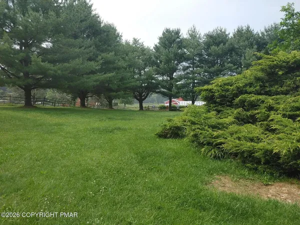 a view of a field of grass and trees