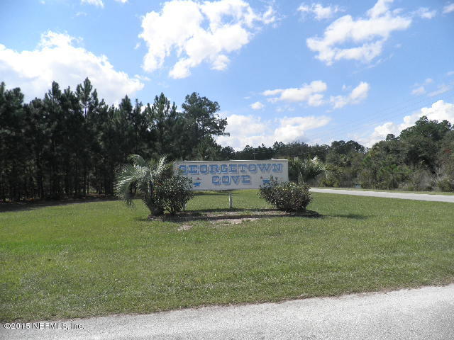 0 South Georgetown Point Road Georgetown, FL 32139 - Photo 1 of 1 20130927_05