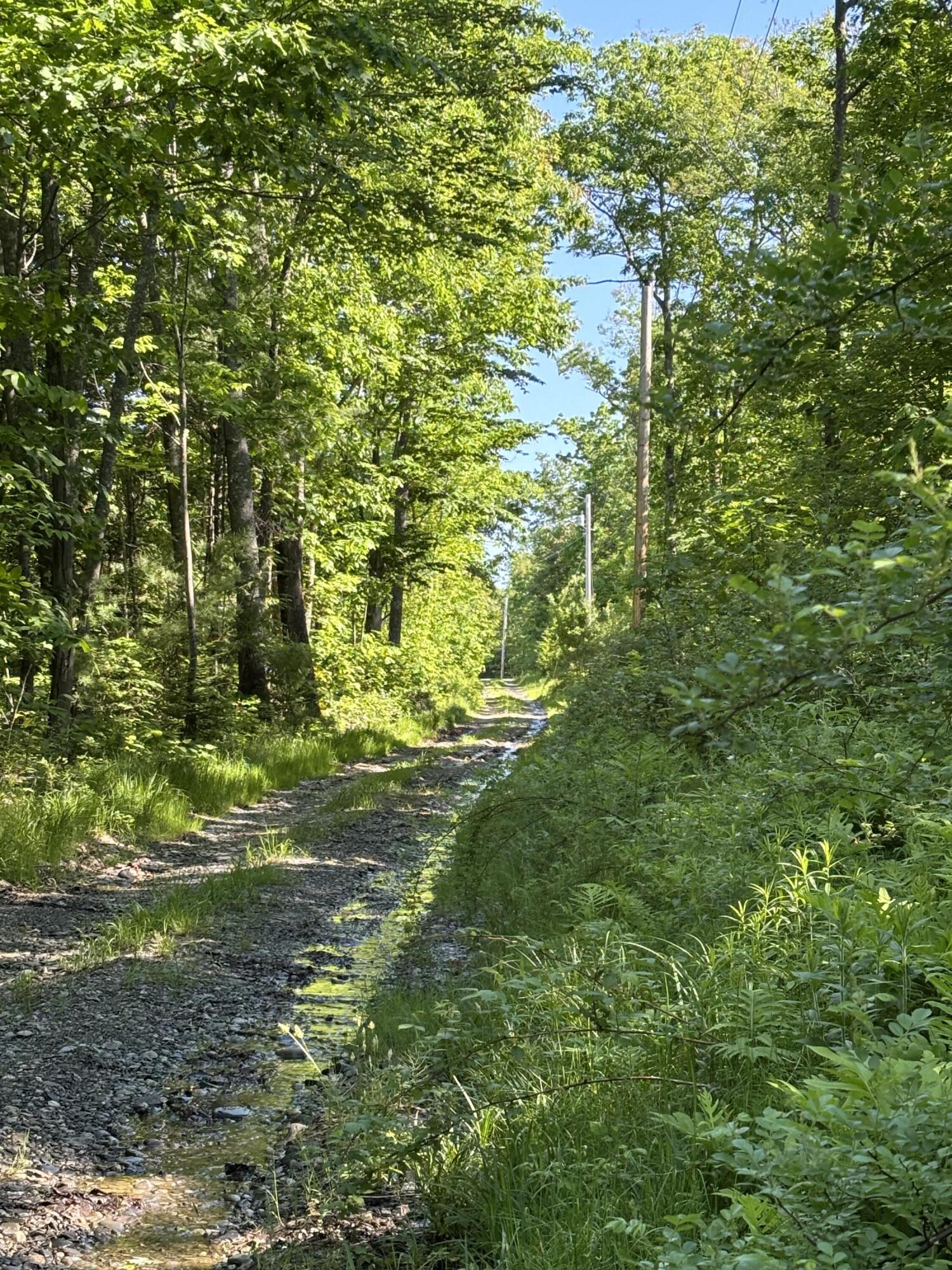 196 North Taylor Road Mount Vernon, ME 04352 - Photo 4 of 5 IMG_2404
