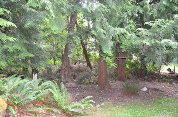 $3,250 | 3700 Beazer Road, Bellingham, WA 98226