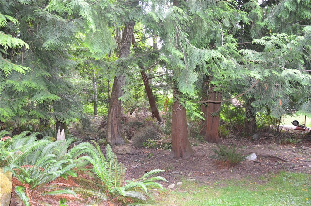 3700 Beazer Road Bellingham, WA 98226 - Photo 4 of 14