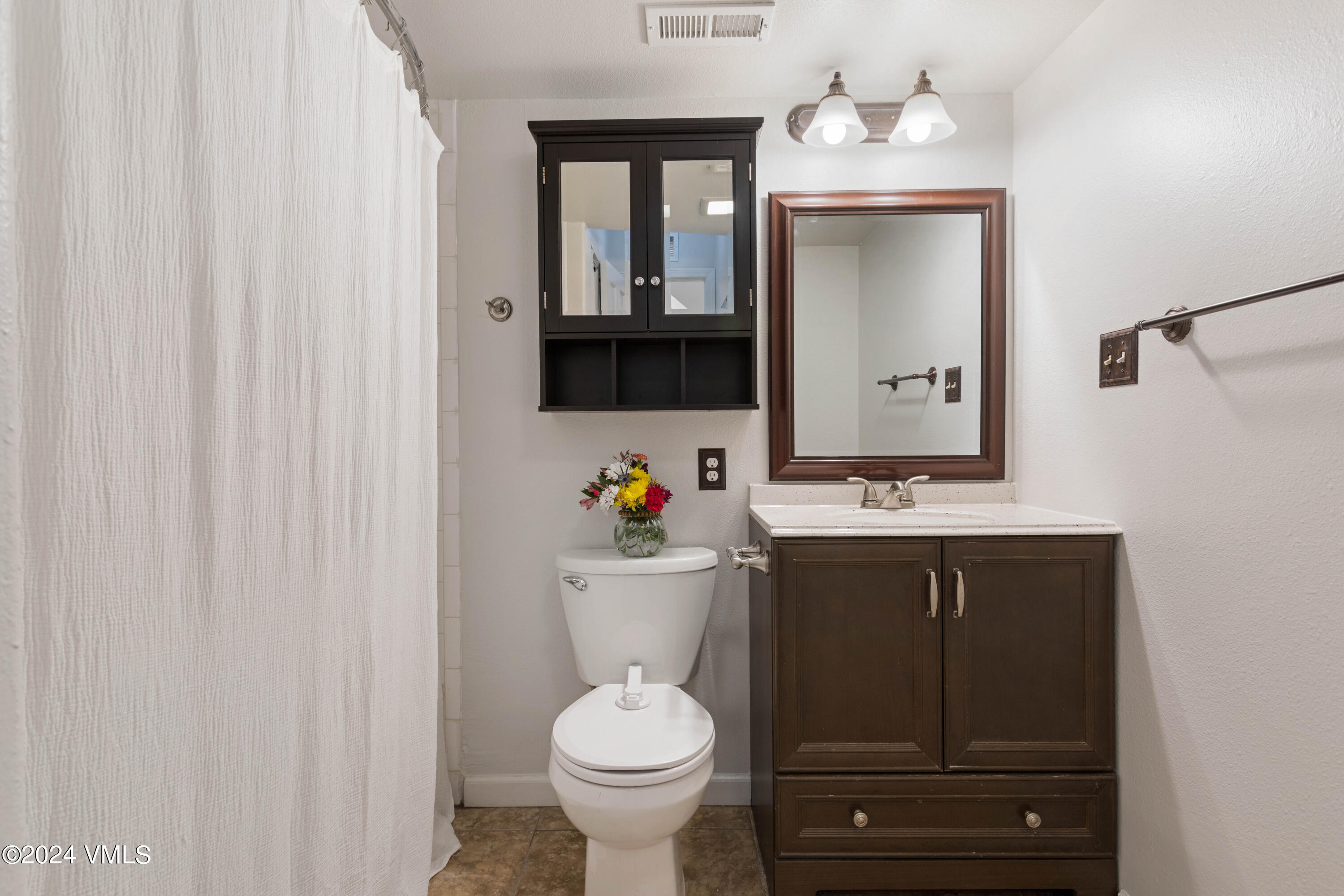 528 East 3rd Street Eagle, CO 81631 - Photo 13 of 17 a bathroom with a sink vanity mirror and toilet