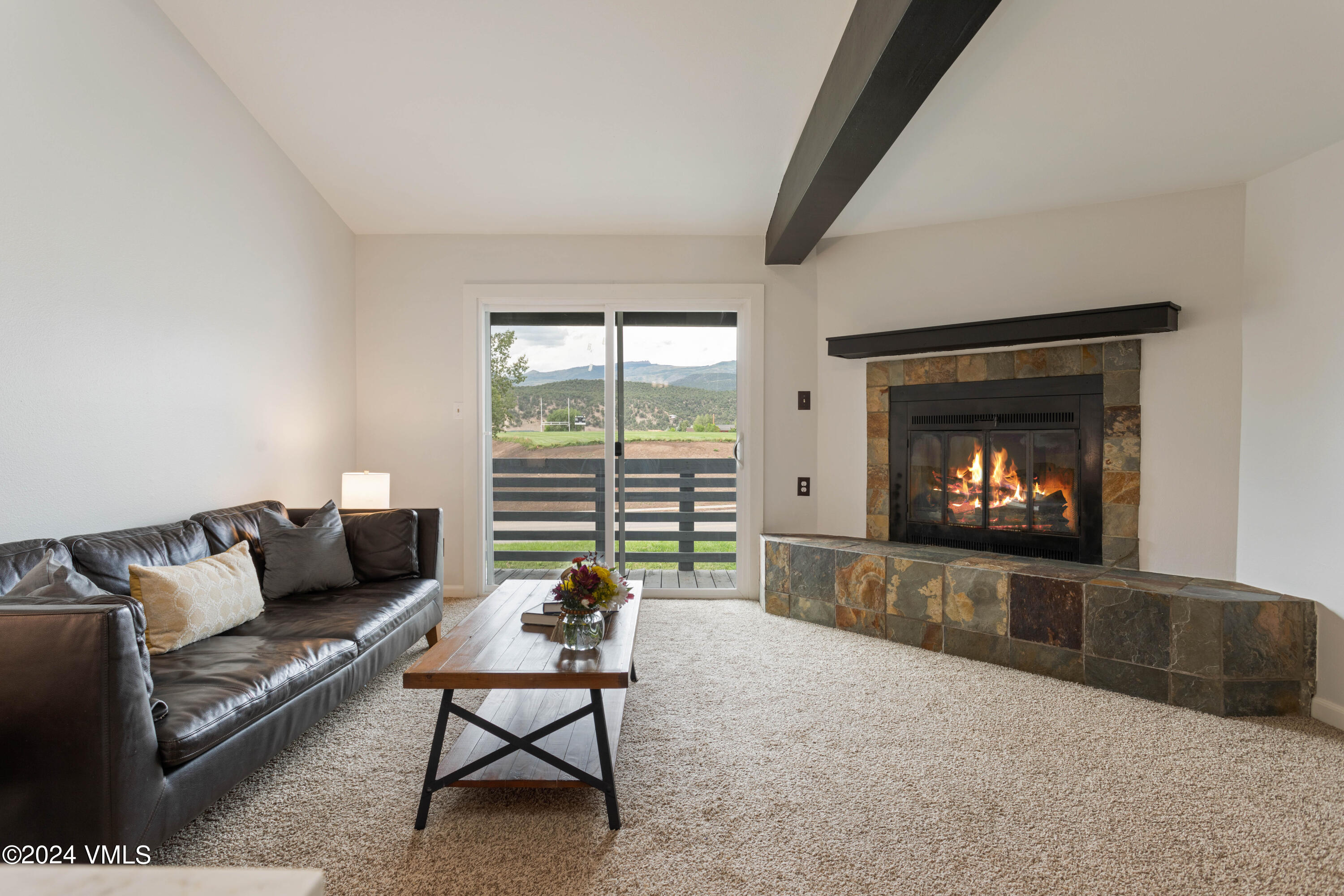 528 East 3rd Street Eagle, CO 81631 - Photo 8 of 17 a living room with furniture and a fireplace