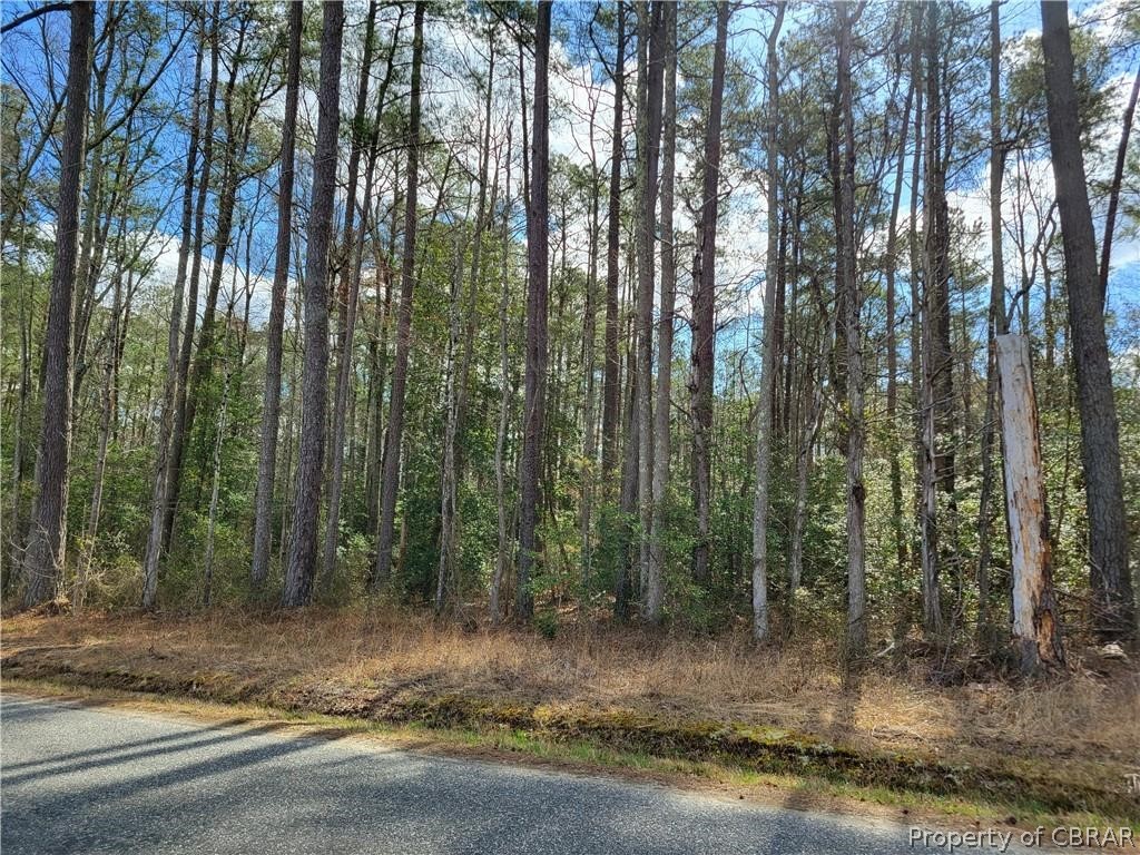 0 Lime House Road Mattaponi, VA 23110 - Photo 3 of 3